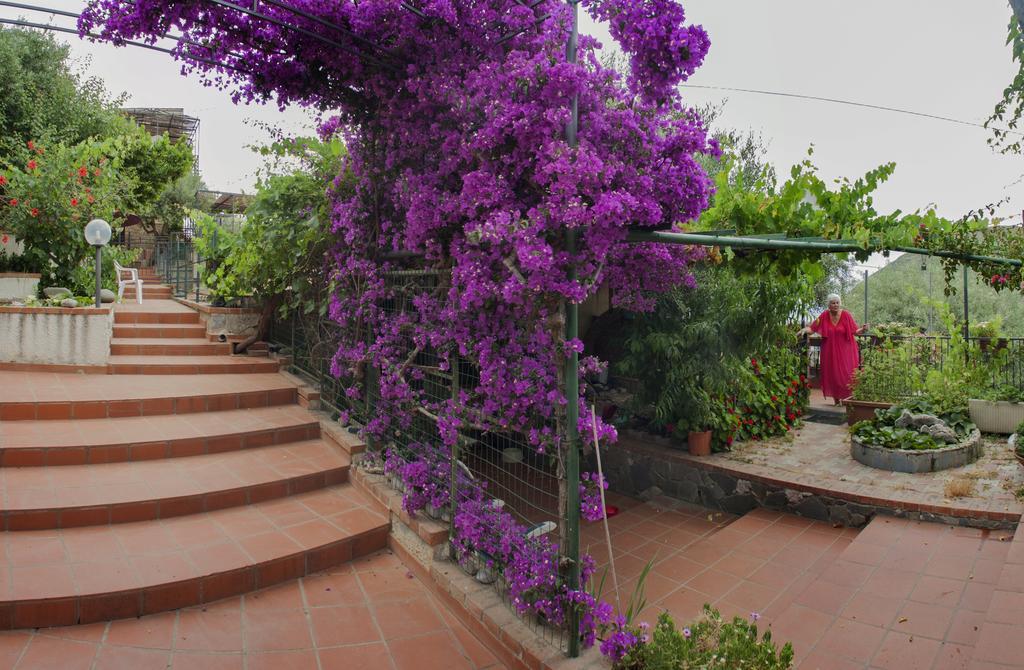 L' Arca Residence تْشيفالو المظهر الخارجي الصورة