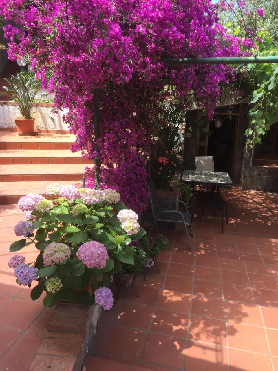 L' Arca Residence تْشيفالو المظهر الخارجي الصورة
